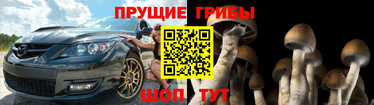 Галлюциногенные грибы Magic Shrooms  Вход с VPN  дарнет шоп  Семёнов 